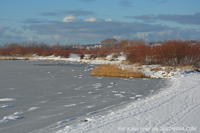 Zdjęcie 20