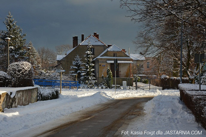 Zdjęcie 42