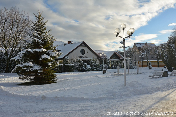Zdjęcie 41